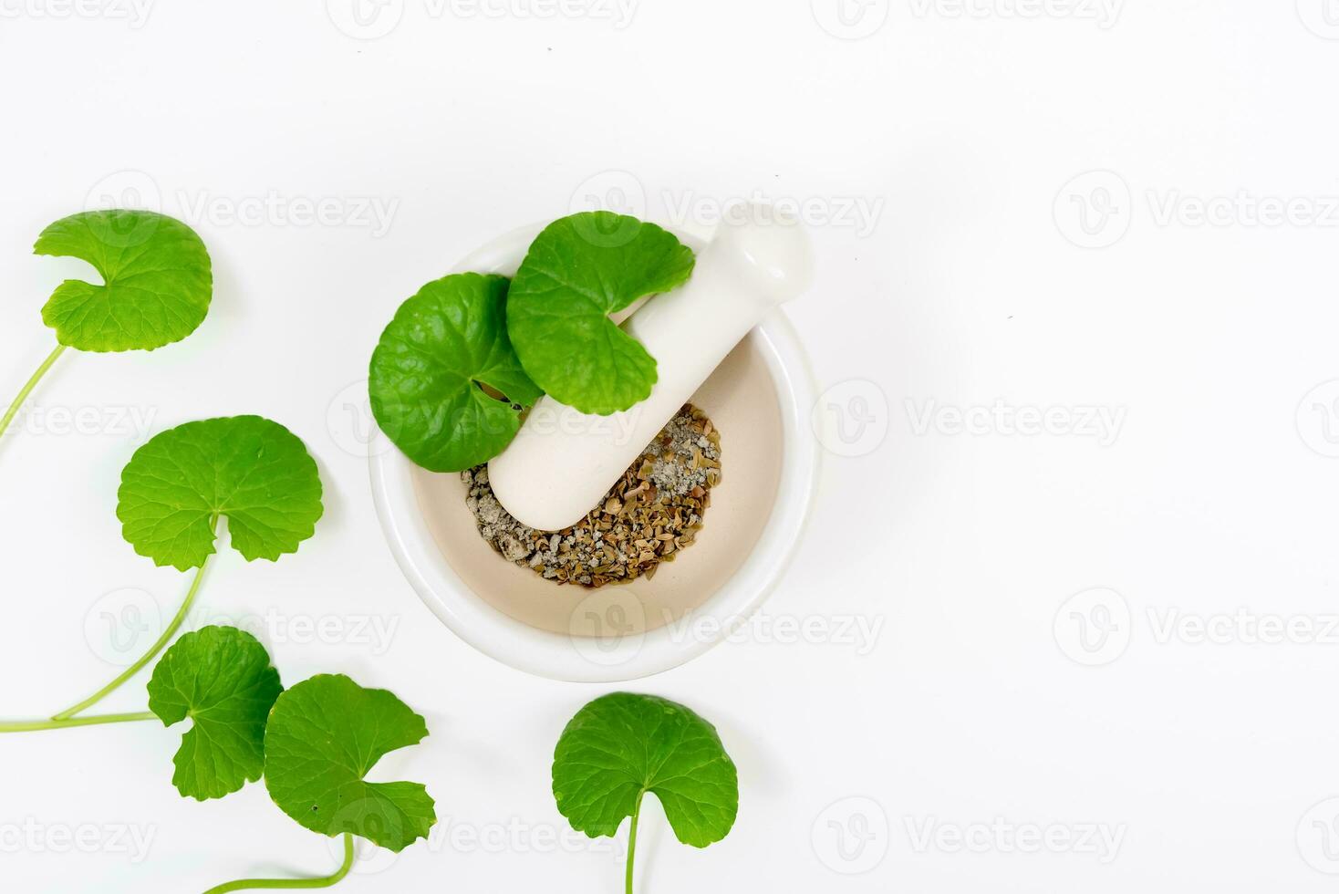 Top view on table centella asiatica leaves with isolated on white background photo