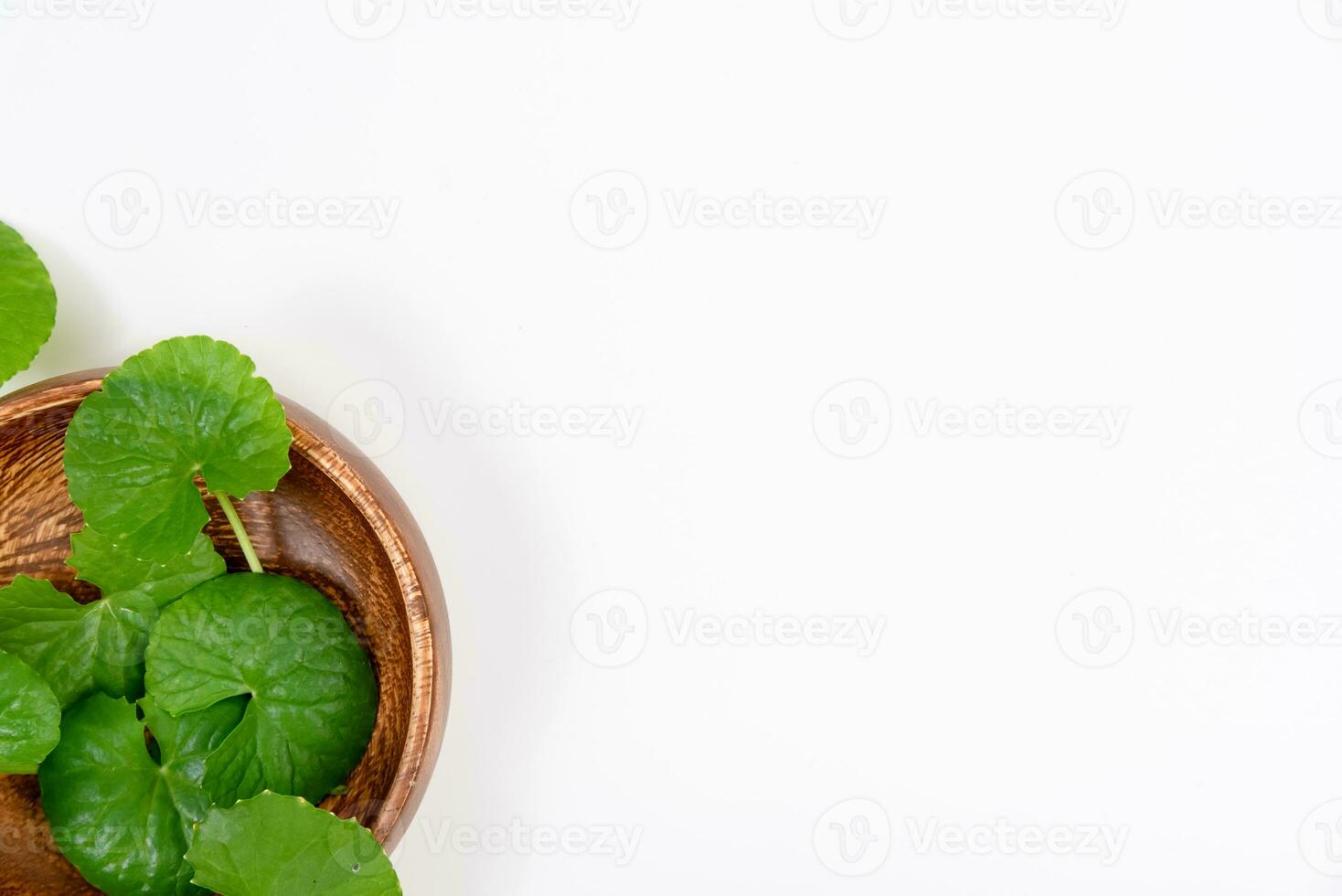 Top view on table centella asiatica leaves with isolated on white background photo