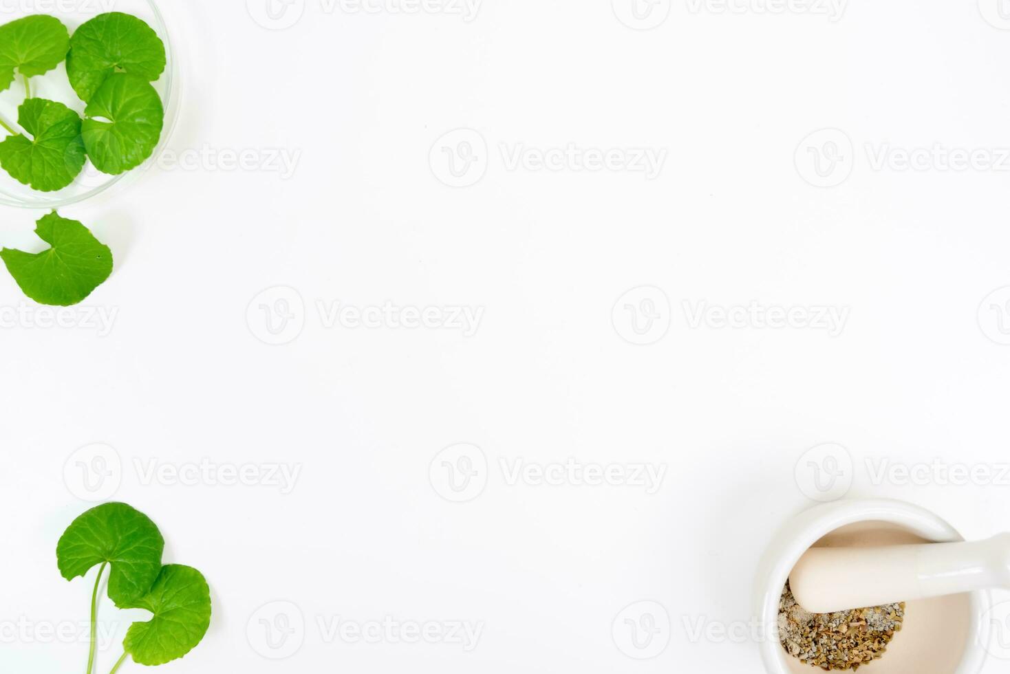 Top view on table centella asiatica leaves with isolated on white background photo
