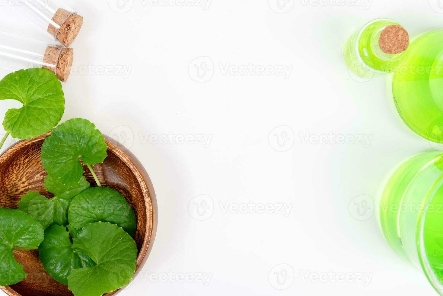 Top view on table centella asiatica leaves with isolated on white background photo