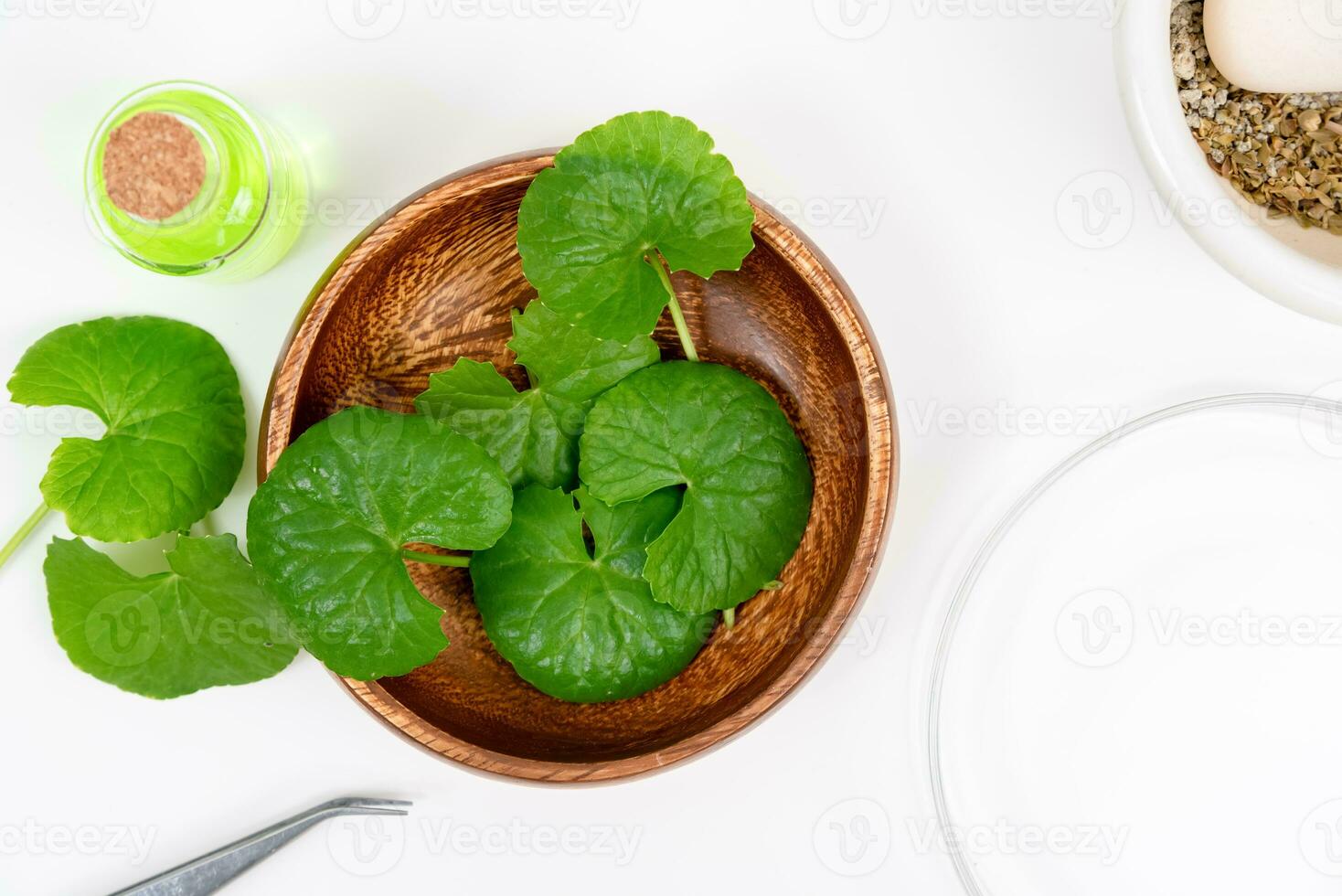 Top view on table centella asiatica leaves with isolated on white background photo
