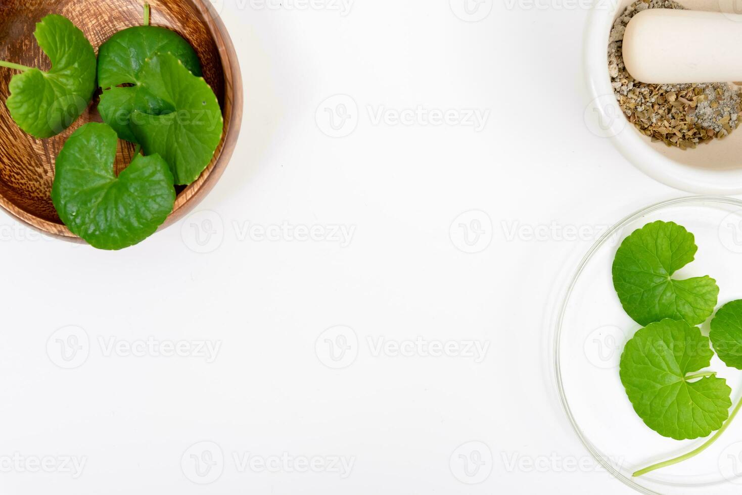 Top view on table centella asiatica leaves with isolated on white background photo
