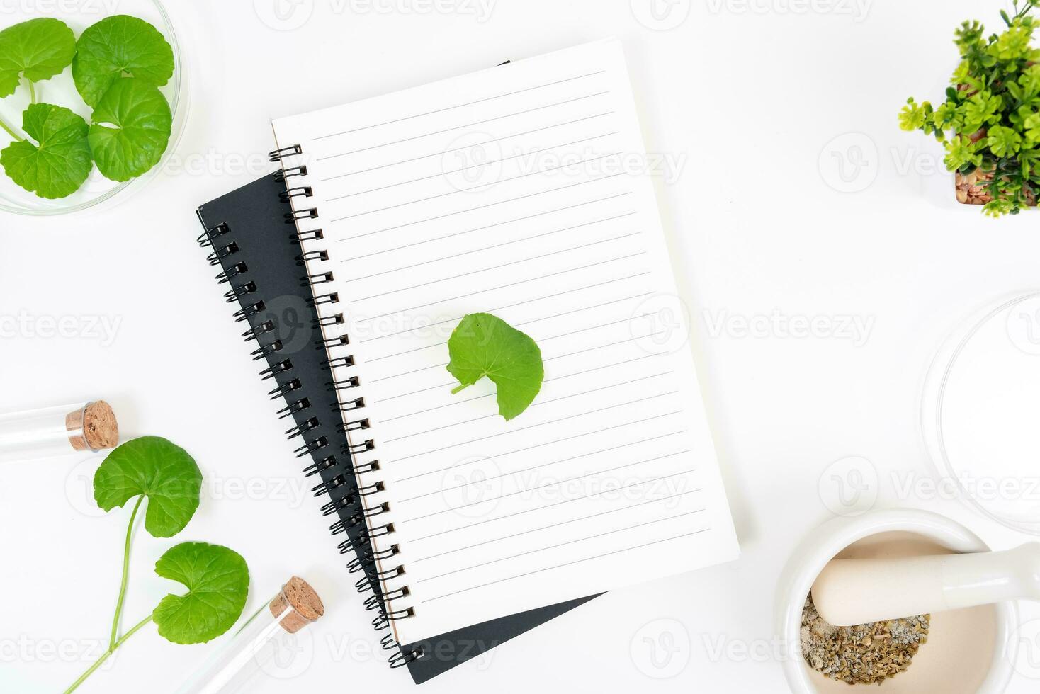 Top view on table centella asiatica leaves with isolated on white background photo