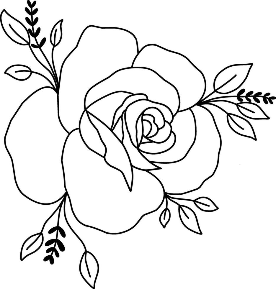 Hand drawn rose flower isolated on white background. Floral design element. vector