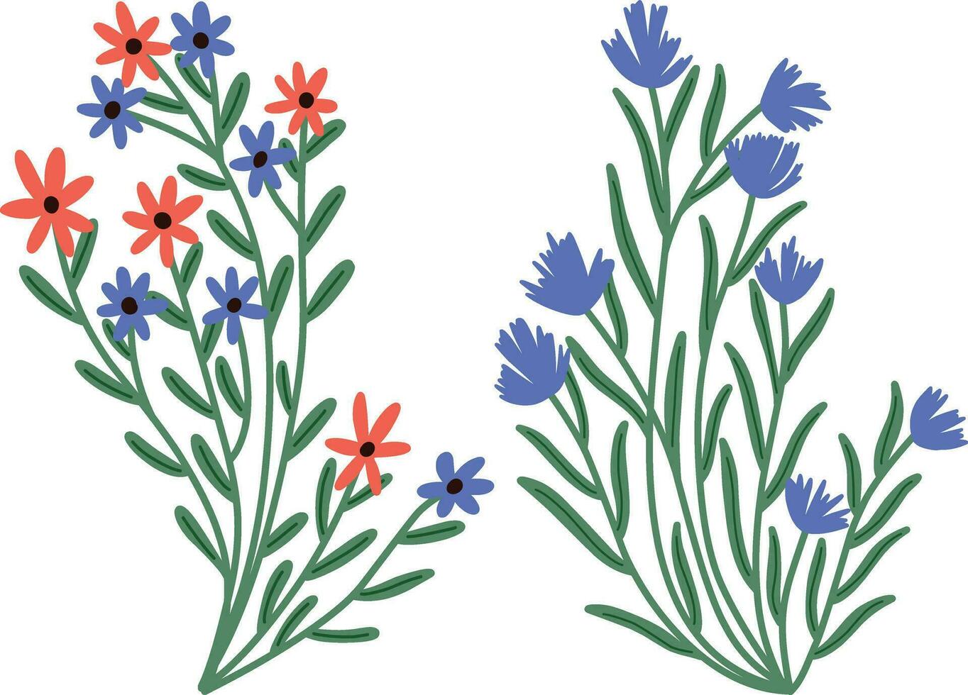 Hand drawn vector illustration of cornflowers isolated on white background.