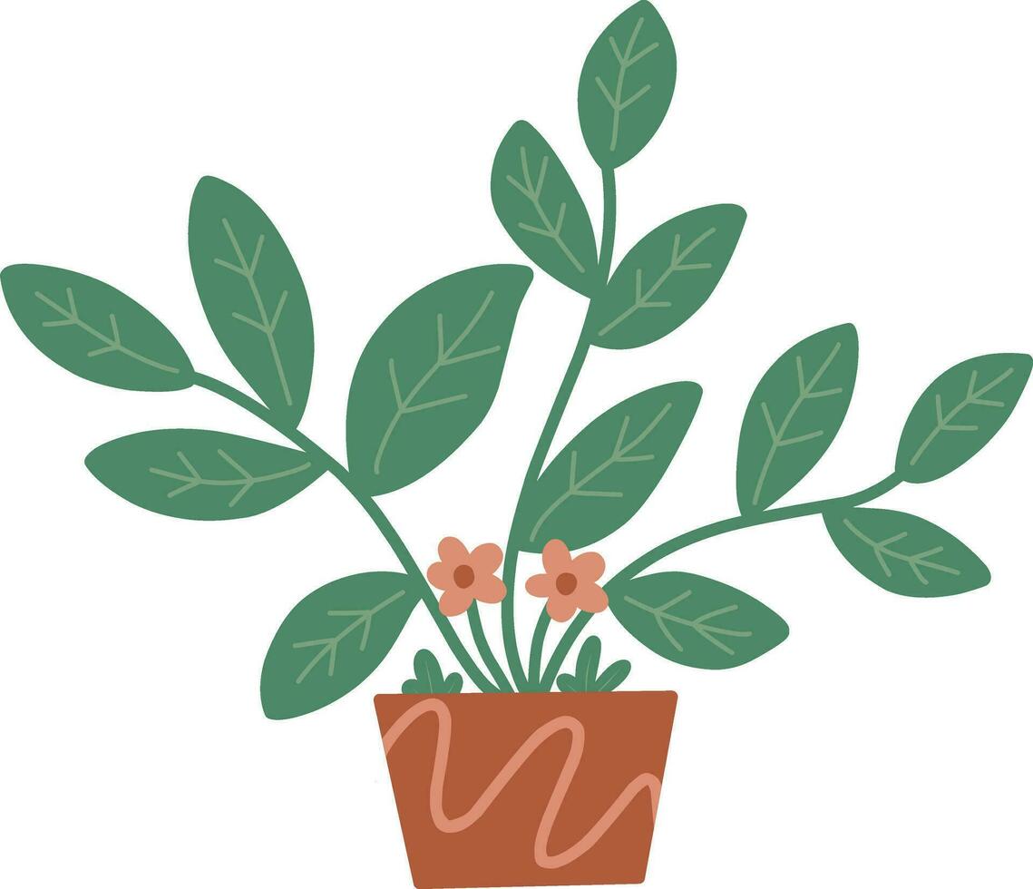 Plant in pot. Isolated vector illustration on white background.