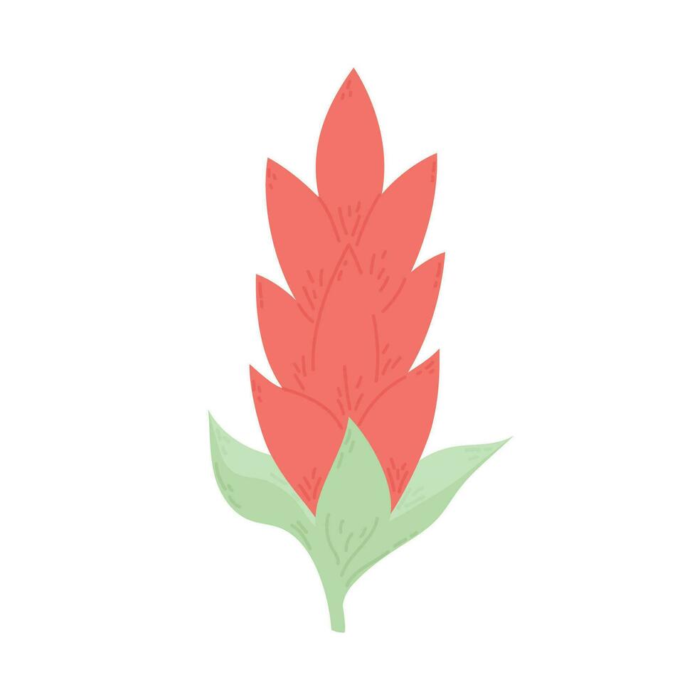 Hand drawn vector illustration of tropical flower. Doodle style