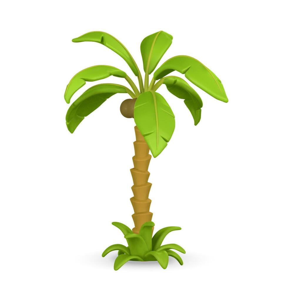 3D Cute cartoon tropical palm tree. Realistic jungle tree on light background. Summertime object. Vector illustration