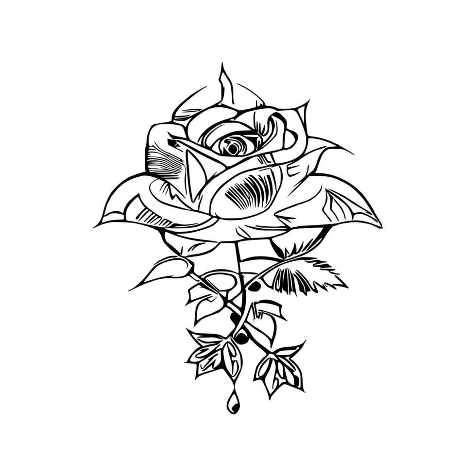 Beautiful Hand drawn flower rose sketch vector