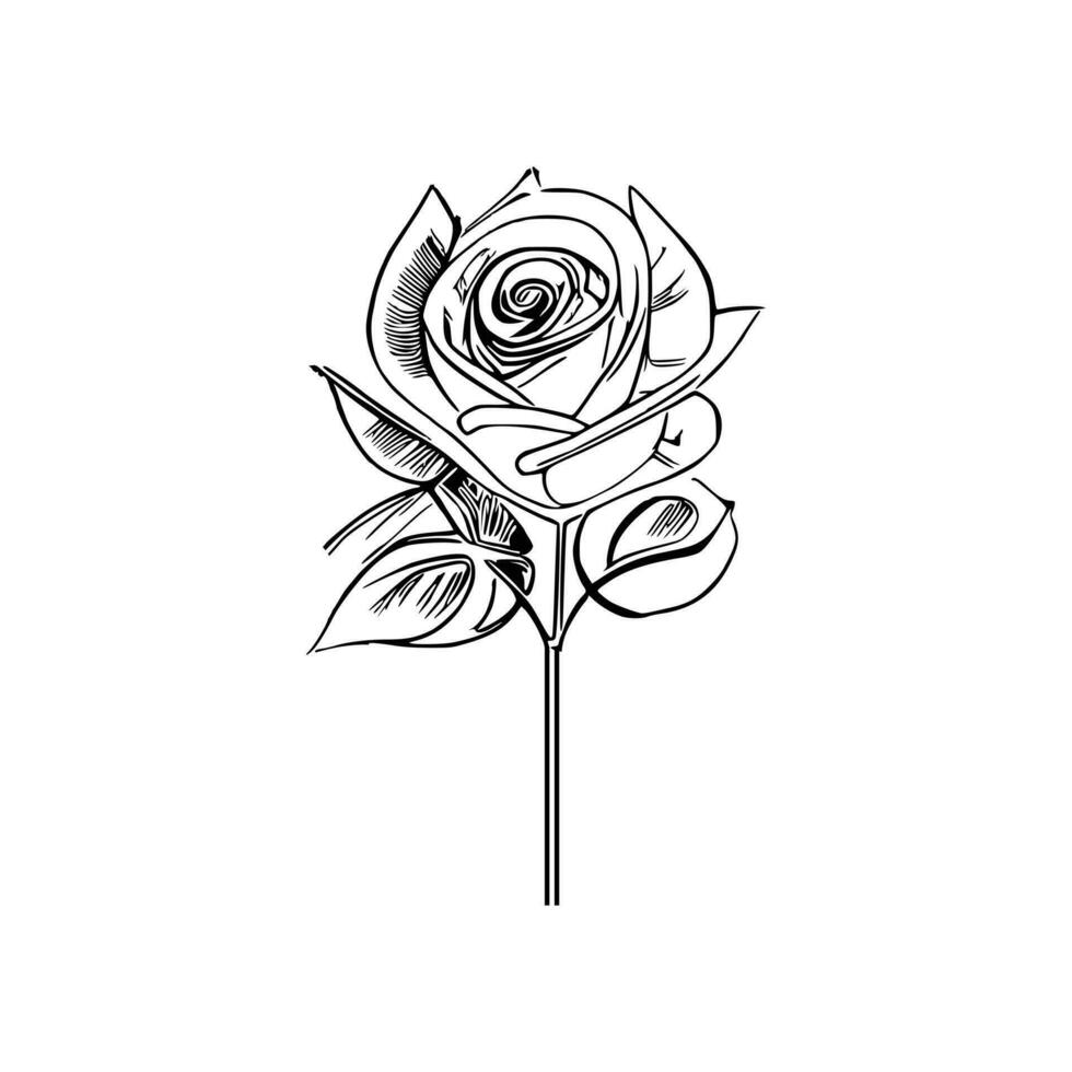 Beautiful Hand drawn flower rose sketch vector