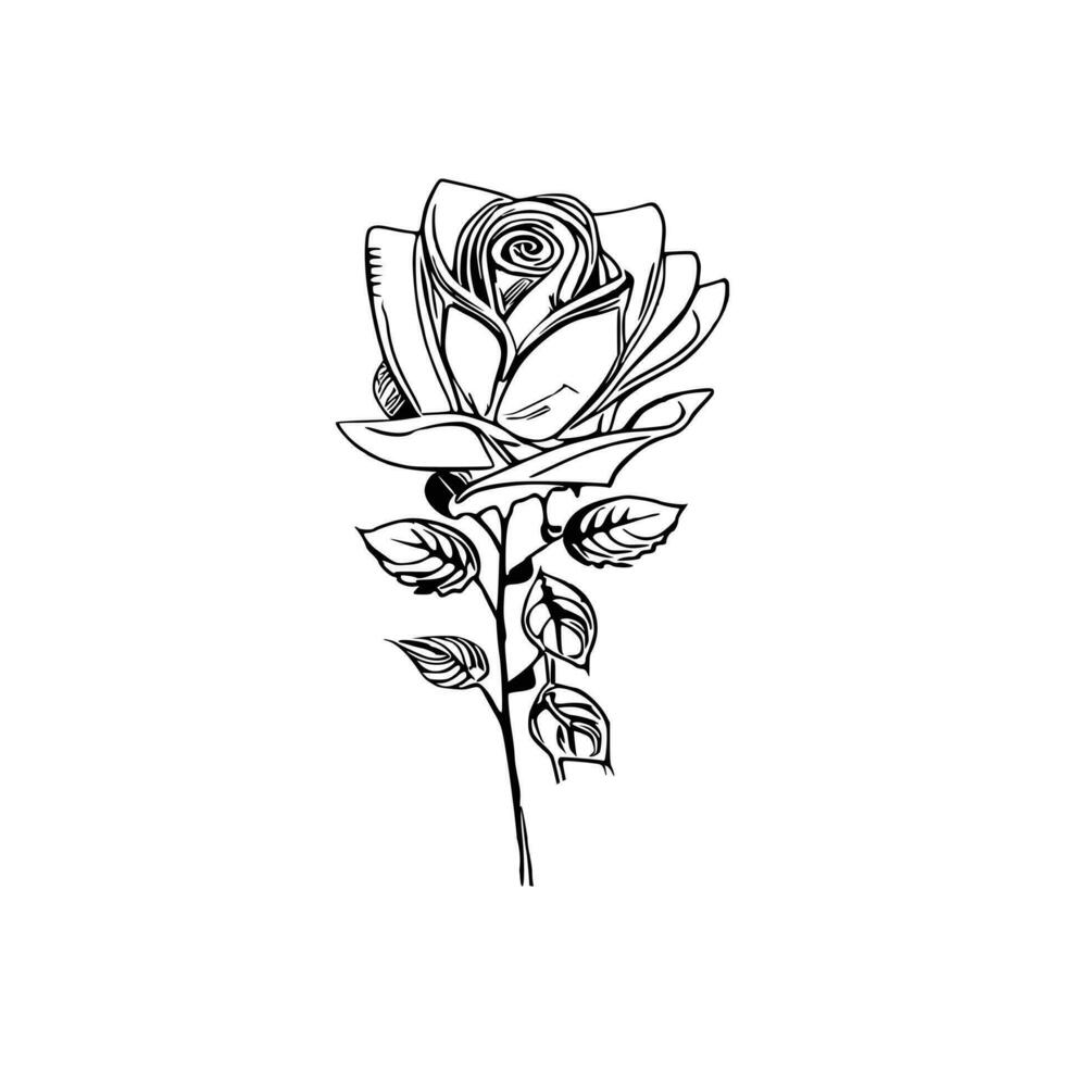 Beautiful Hand drawn flower rose sketch vector