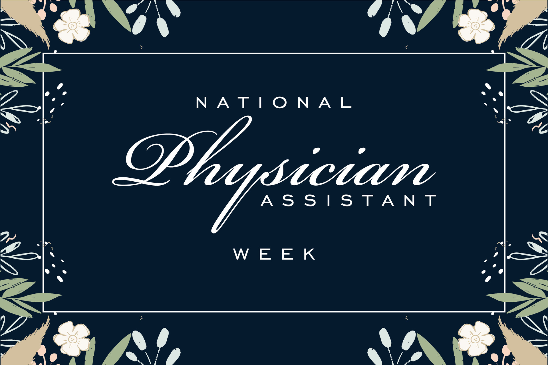 national physician assistant week 25788890 Vector Art at Vecteezy