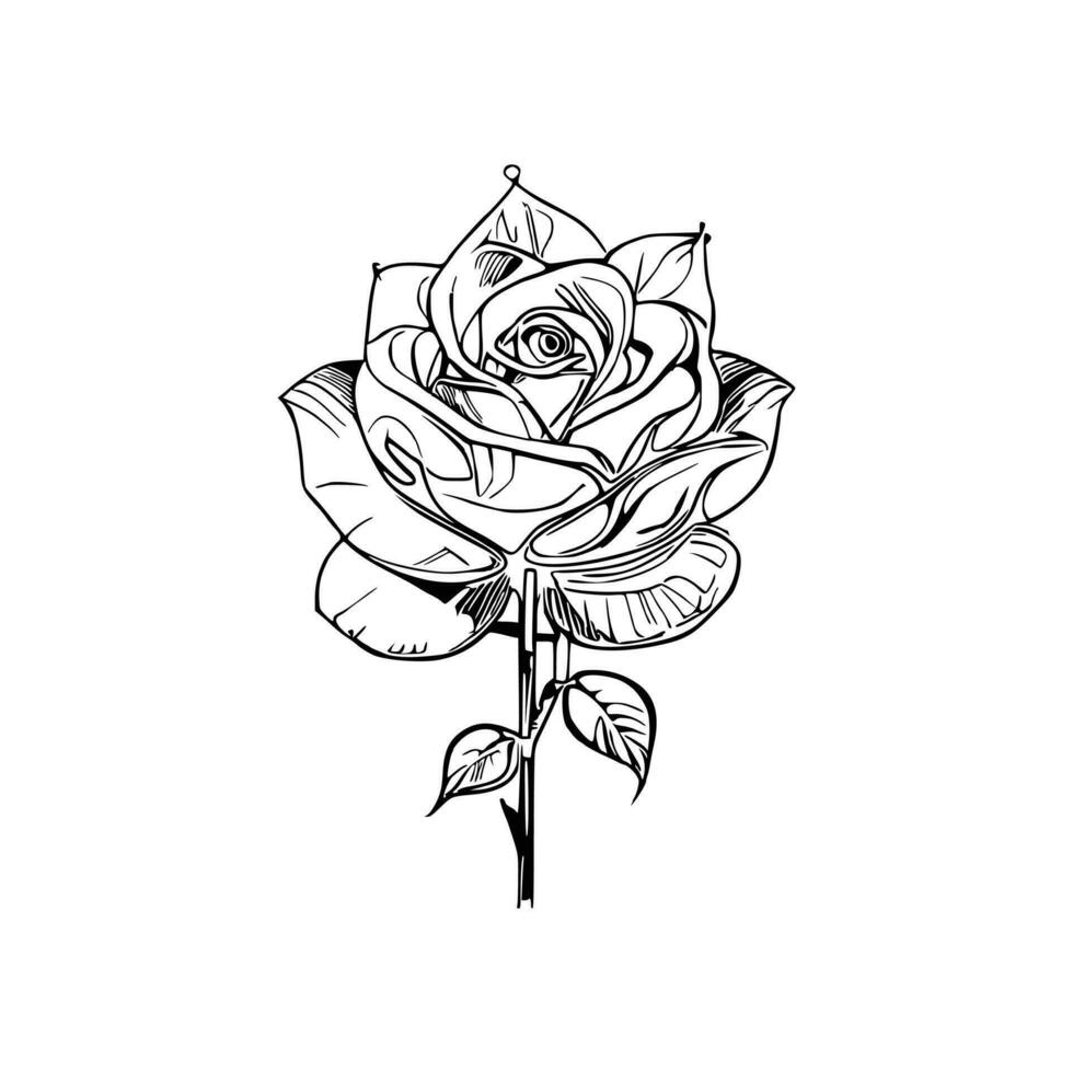 Beautiful Hand drawn flower rose sketch vector