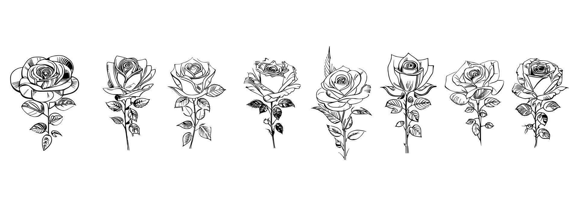 rosas conjunto línea Arte vector