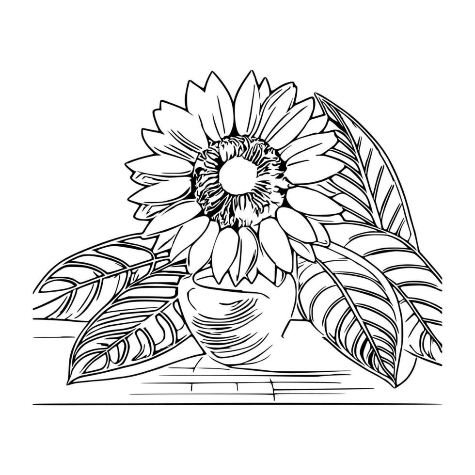 line art sunflower vector