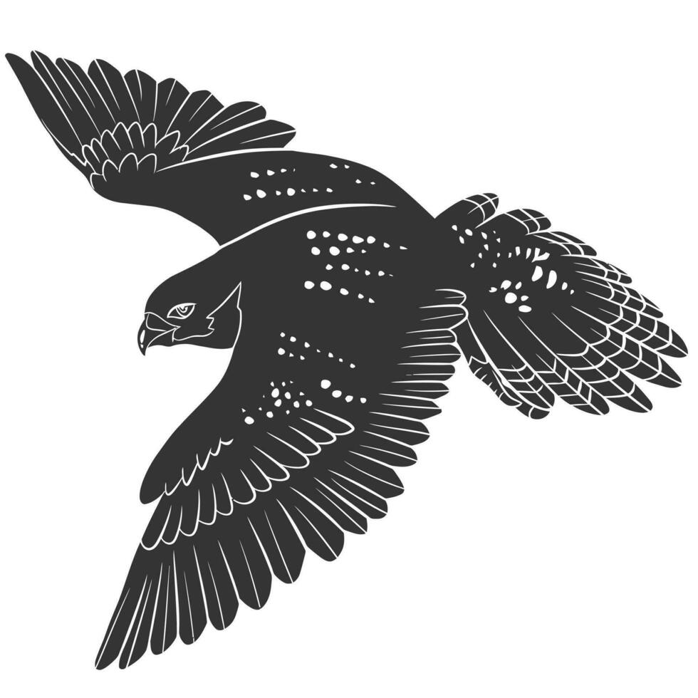 Falcon Bird Vector