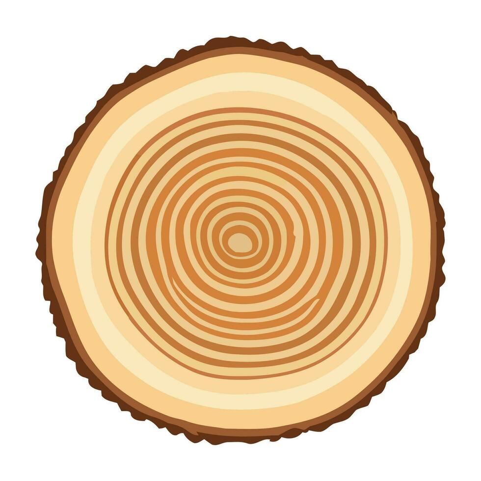 Tree trunk wood ring. Tree trunk cross section. wood slice cut isolated on white background. vector