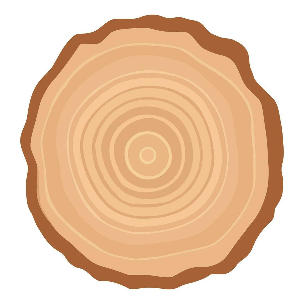 Tree trunk wood ring. Tree trunk cross section. wood slice cut isolated on white background. vector