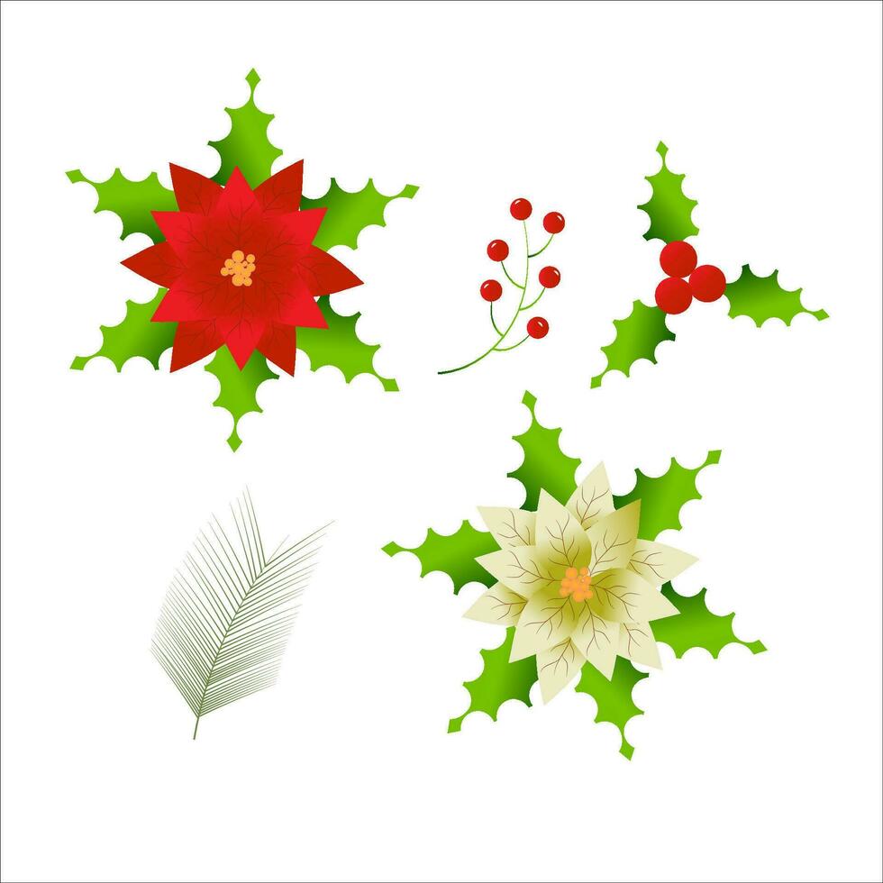 Beautiful Poinsettia Flowers vector