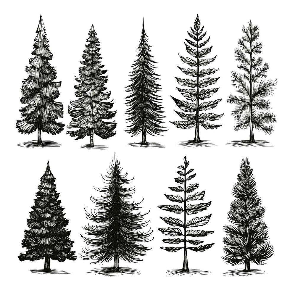 Set of Christmas tree elements vector