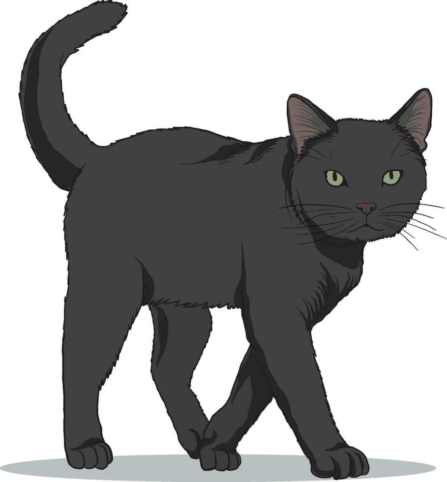 ilustración de negro gato caminando vector