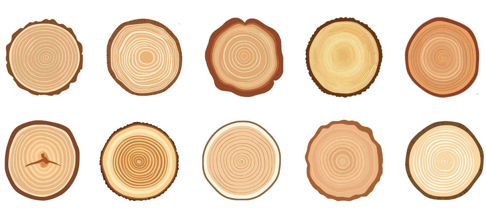 Tree trunk cross section set. Tree rings, tree trunk rings isolated, wood ring circle texture collection. vector