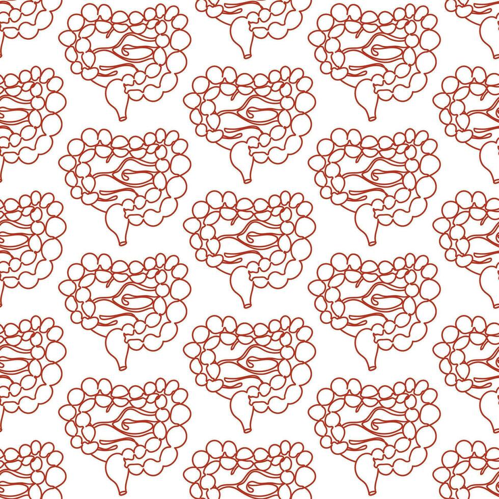 A pattern of large and small intestines in a linear style. A repeating pattern with lines of the colon and small intestine. Health, medicine, internal organs. The structure of healthy organs vector