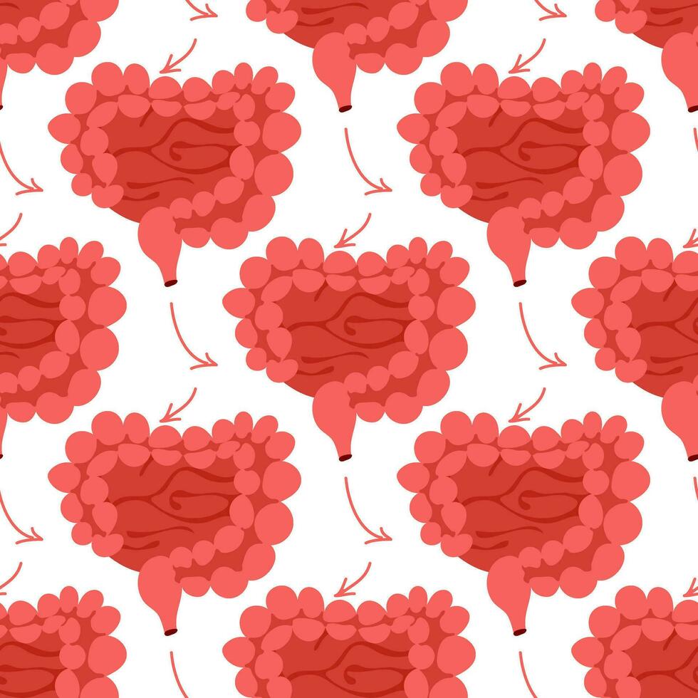 Pattern of the large and small intestines. A repeating pattern with lines of the colon. Health, medicine, internal organs. The structure of healthy organs and one affected by the disease. Thick, thin vector