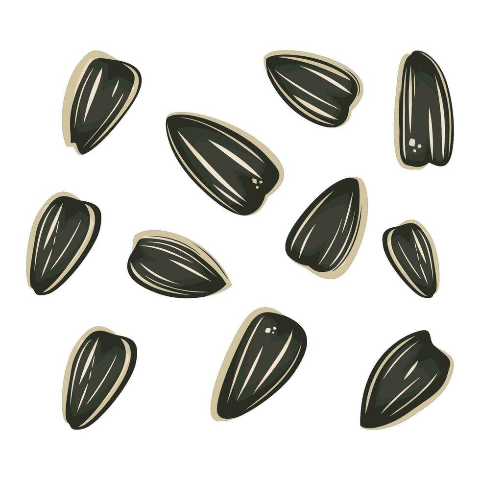 Sunflower seeds isolated on white background Top View vector