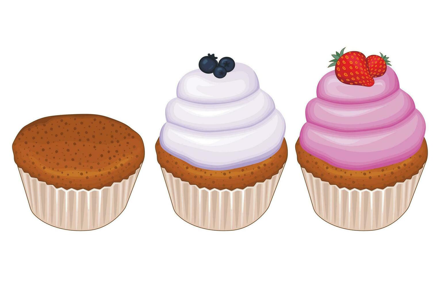 Set of cupcakes freshly bakery illustration bakery or cafe menu food illustration vector