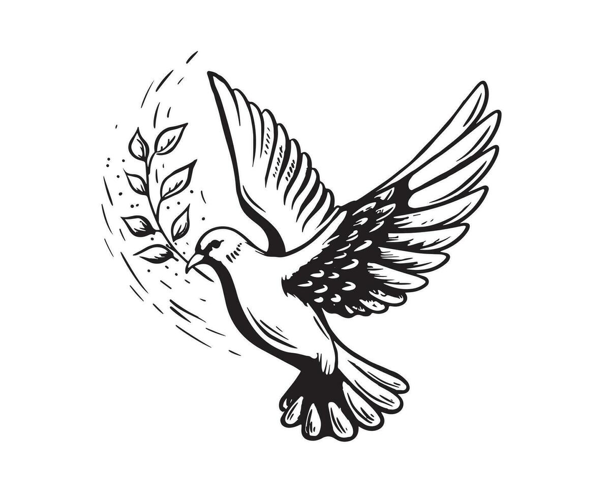 Flying dove of peace with an olive twig, hand drawn Illustration, vector. vector