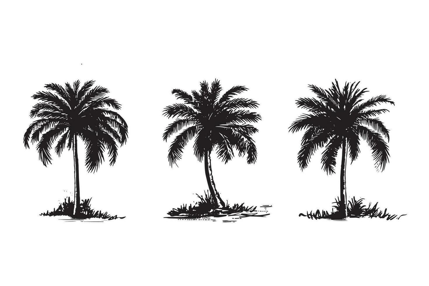 Palm, Hello Summer, hand drawn illustrations, vector. vector