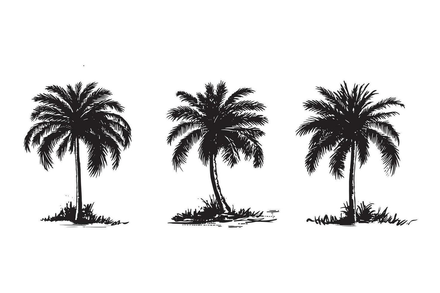 palmera, Hola verano, mano dibujado ilustraciones, vector. vector