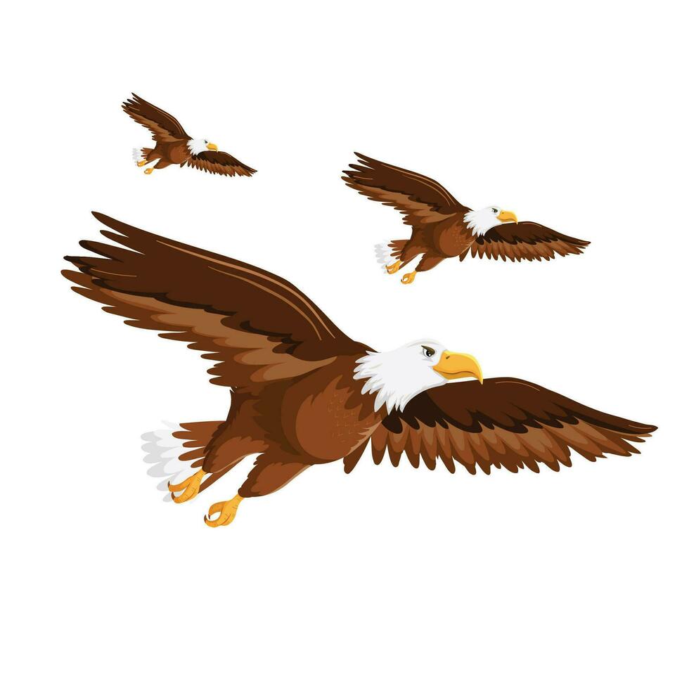 American eagle. Cartoon cute bald eagle. Vector illustration.