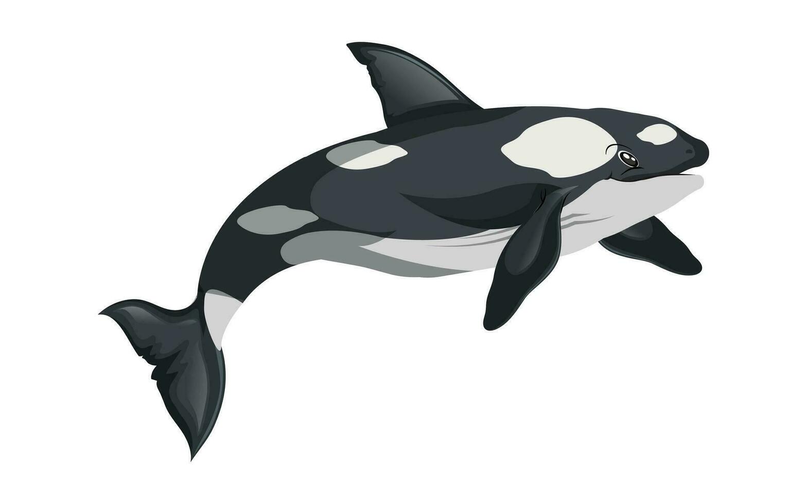 nadando ballena icono de colores dibujos animados bosquejo vector