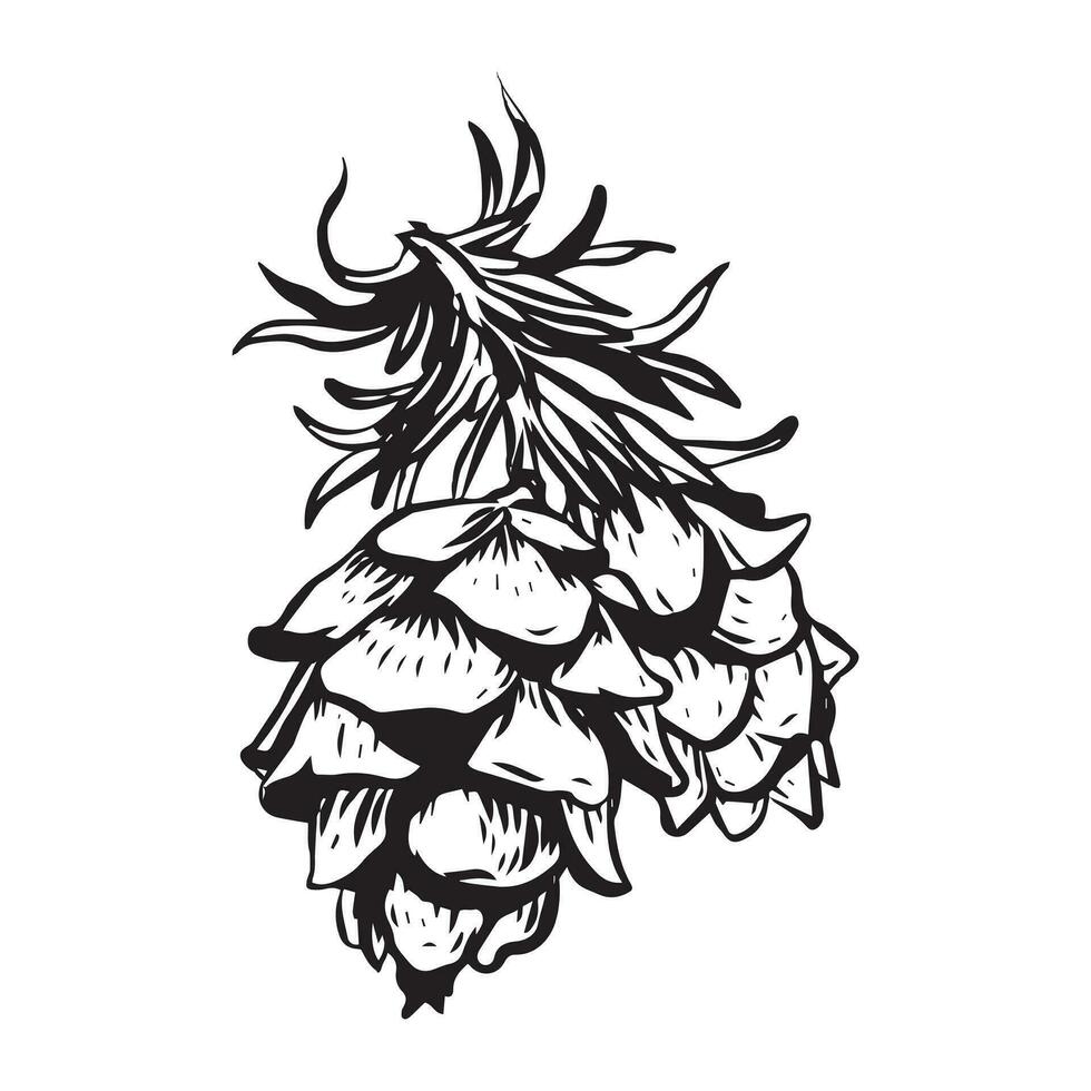 Sketch hand drawing pine cone on tree branch with needles on white background. Christmas hand drawn fir cone. Conifer cone on the tree, cedars, firs, hemlocks, larches, pines or spruces. vector