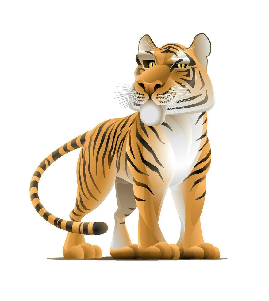 Cartoon Tiger. Vector illustration of a tiger with serious expression of the snout that is depicted in a cartoon style.