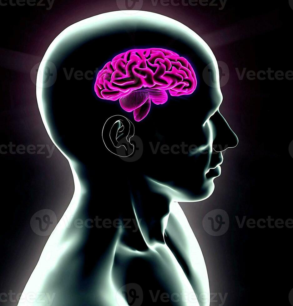 Ai generate photo 3d render of a medical image of a male figure with brain highlighted