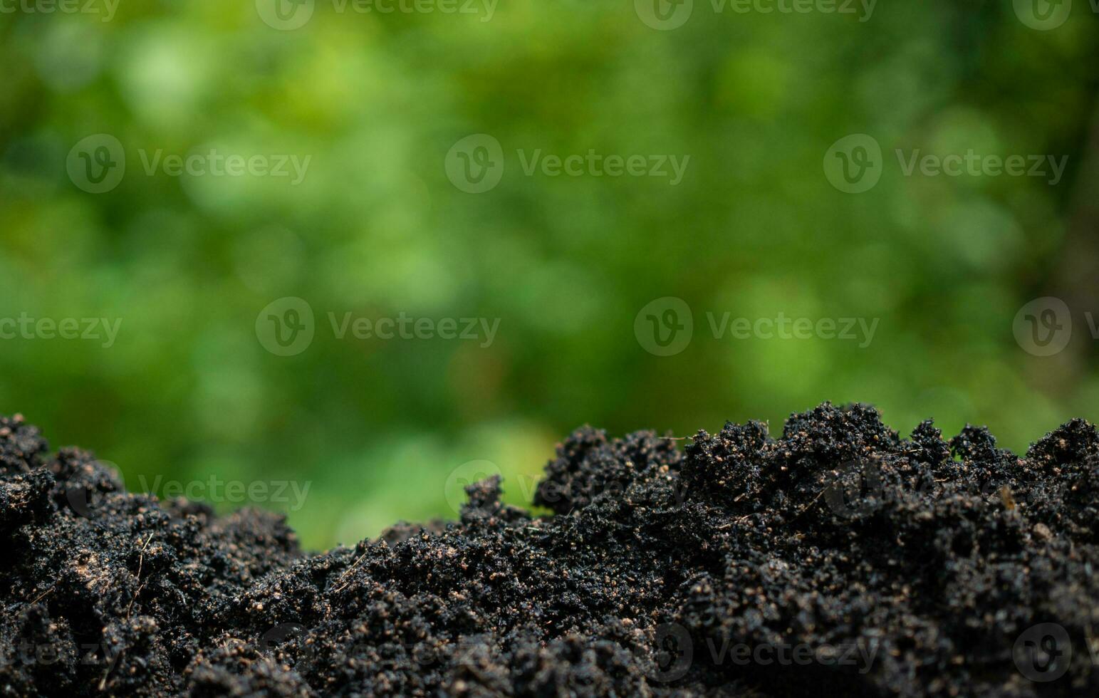 Background with soil and green from nature environmental protection