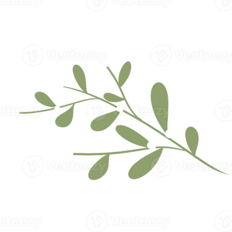 Doodle Flower and Leaves hand drawn png
