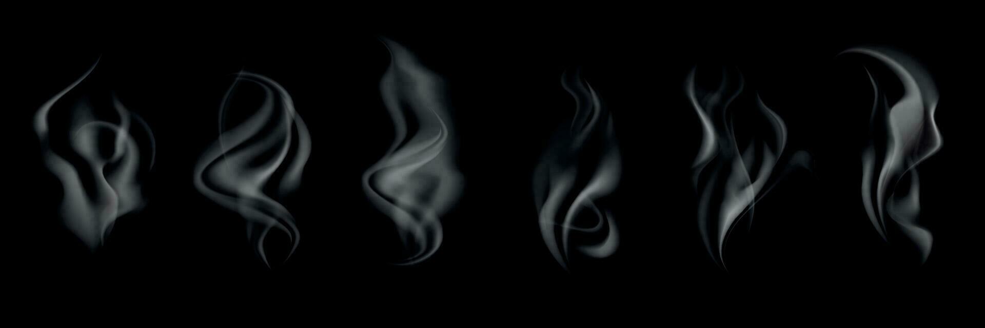 Steam Or Smoke Abstract Shapes On Black vector