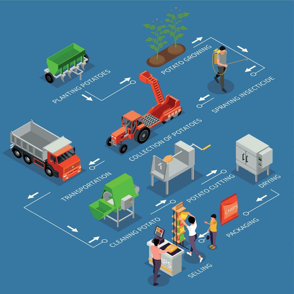 Potato Chips Production Flowchart vector