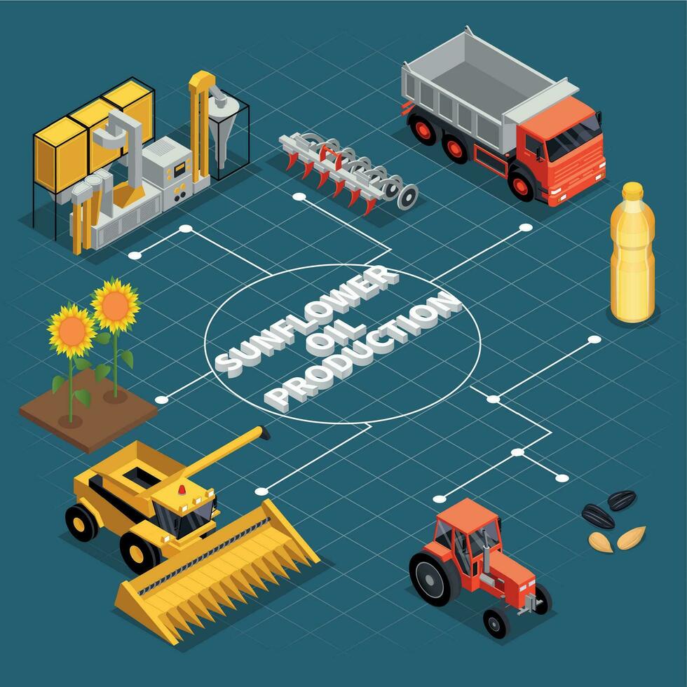 Sunflower Production Isometric Composition vector