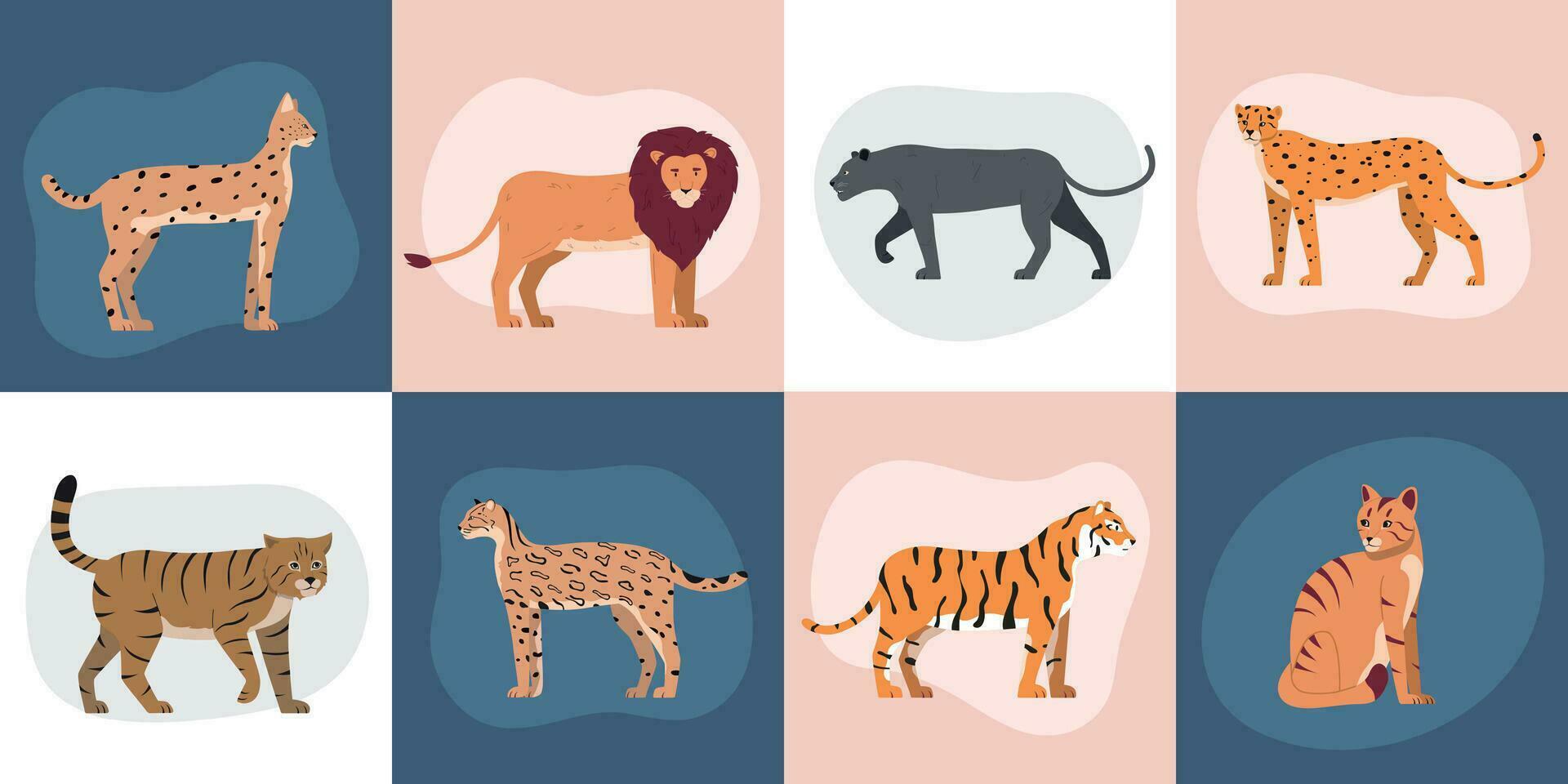 Wild Cats Square Compositions vector