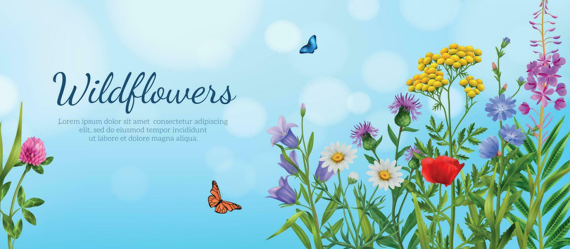 Realistic Wildflowers Poster vector