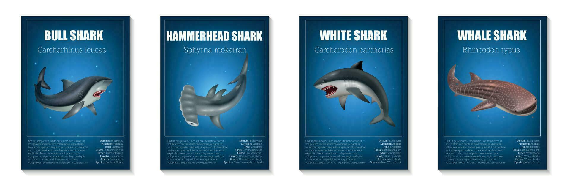 Shark Poster Set vector