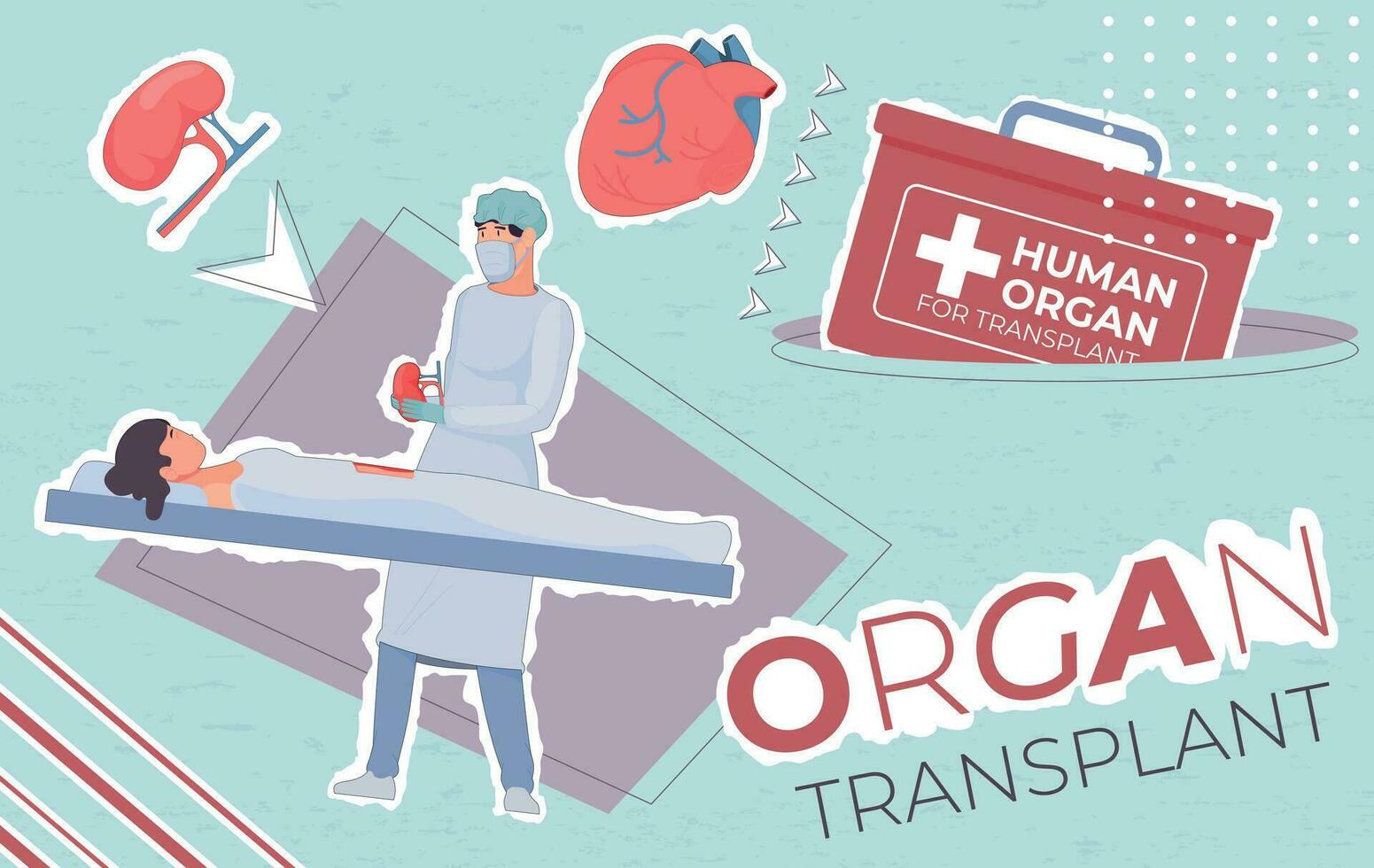 Organ Transplant Collage Composition vector