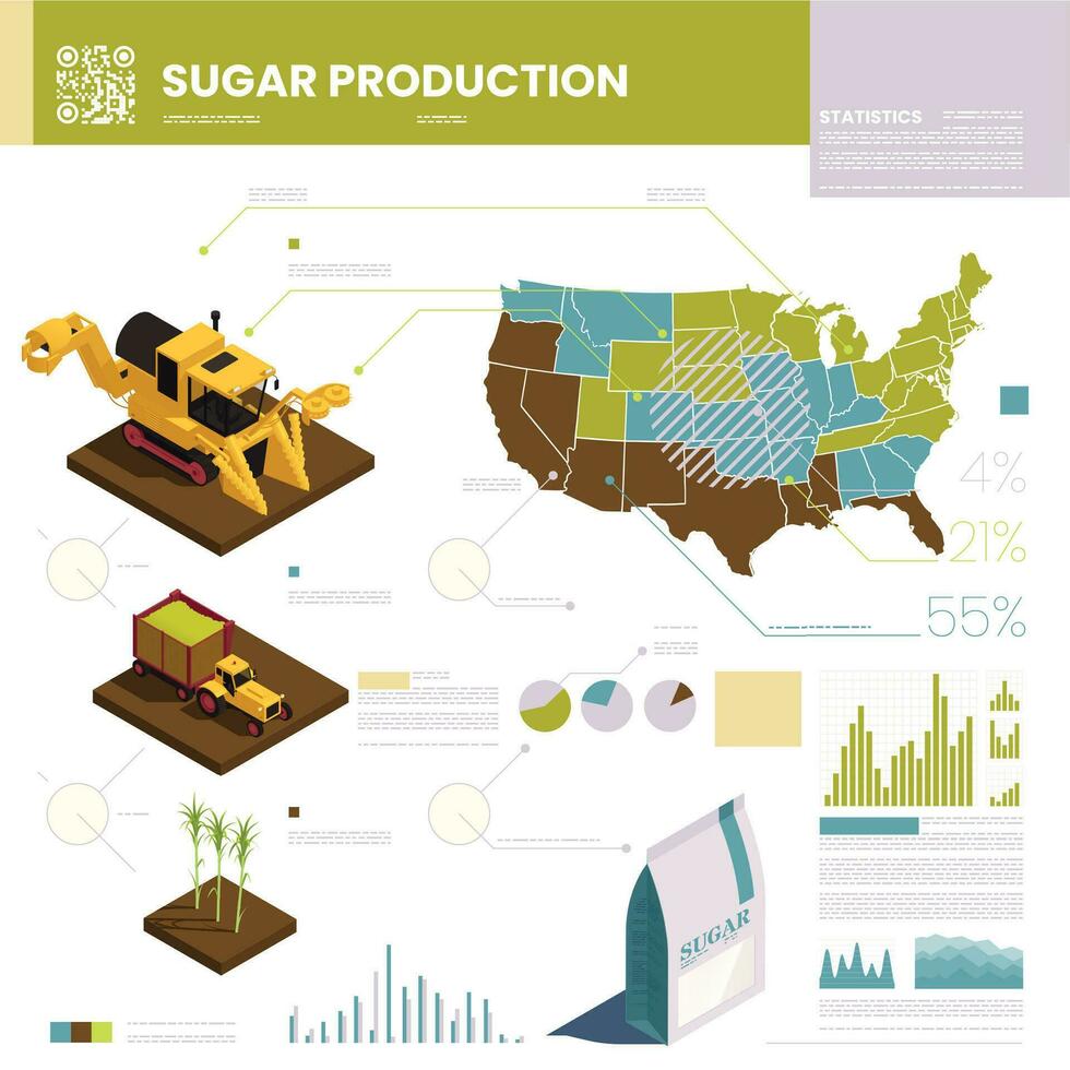 World Sugar Production Infographics vector