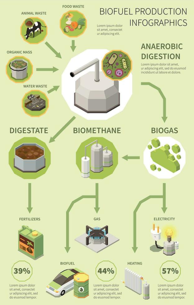 Biofuel Production Infographics vector