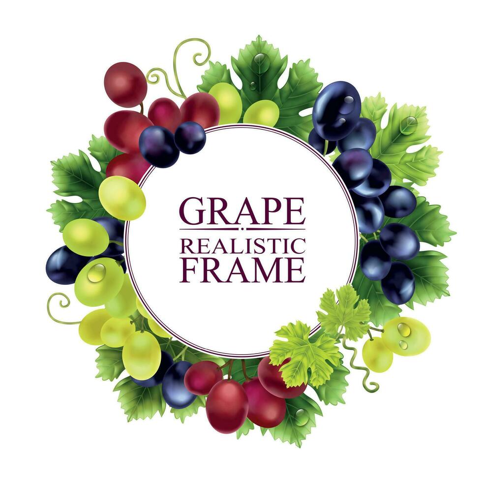 Grape Realistic Round Composition vector